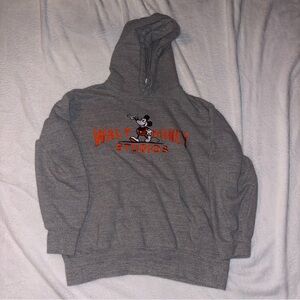 Disney 100 Walt Disney Studios Hoodie Size Medium